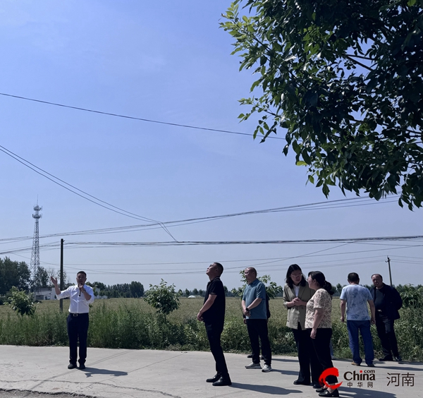 Pg电子平台：西平县权寨镇开展数字乡村建设推进观摩会(图4)