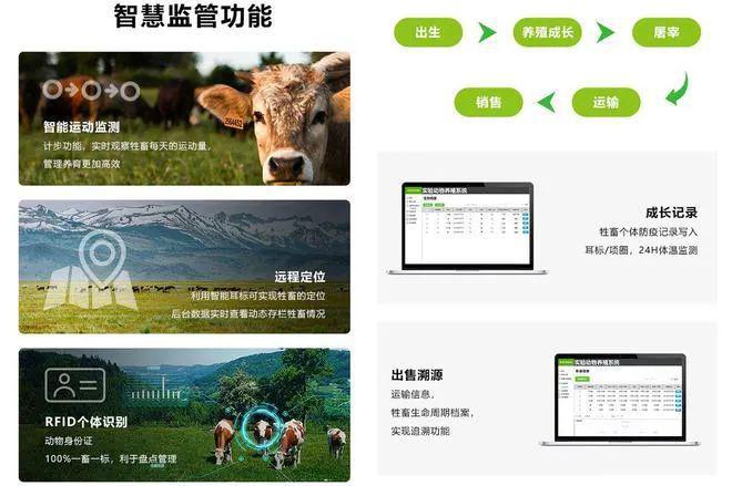 Pg电子游戏平台：当资本、数字遇到了牛农村真要变了(图1)