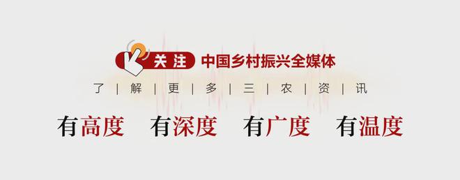 Pg电子游戏平台：35个！第二批国家数字乡村试点名单公示(图2)
