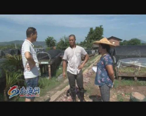 Pg电子游戏：贯彻党代会龙海九湖镇项目征迁速度全面推进(图1)
