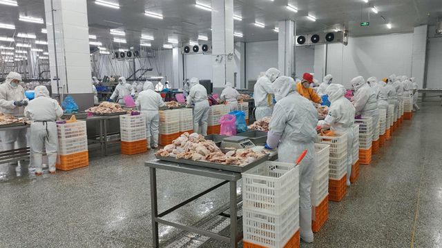Pg电子游戏平台：改革风帆劲万亿征新程丨“六He”聚力打造乡村振兴“莱阳方案”(图6)