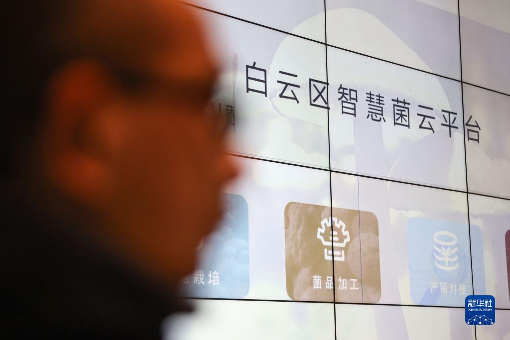 Pg电子平台：网跨千年村中有“数”——“数字乡村”赋能西部发展观察(图2)