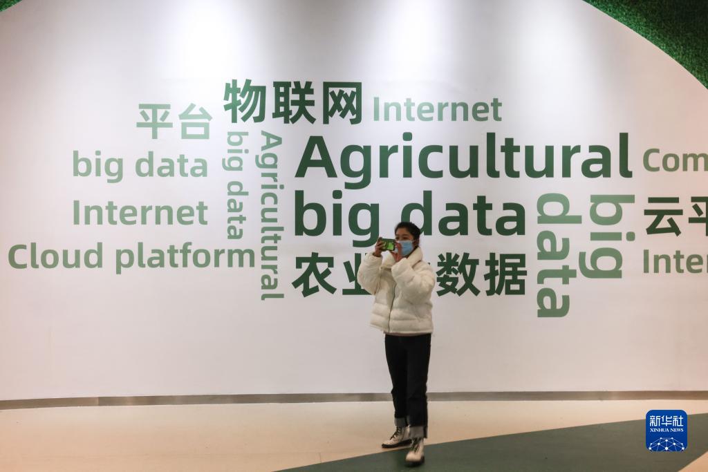 Pg电子平台：网跨千年村中有“数”——“数字乡村”赋能西部发展观察(图11)