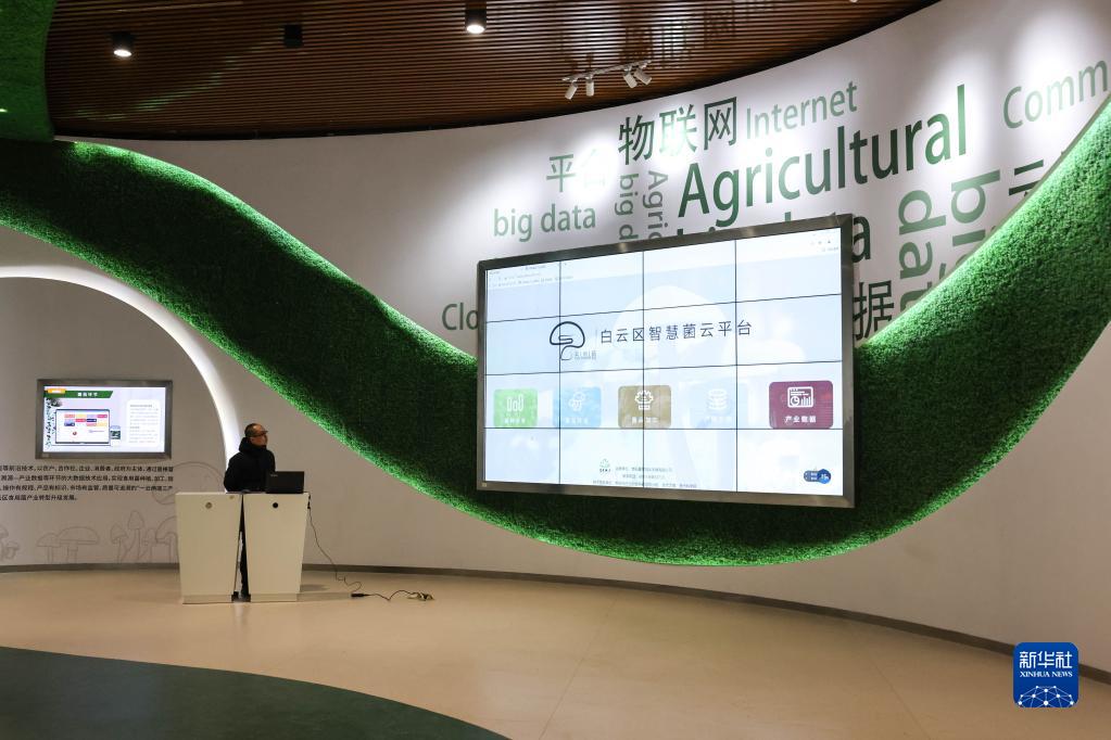 Pg电子平台：网跨千年村中有“数”——“数字乡村”赋能西部发展观察(图12)