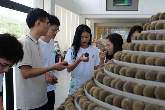 Pg电子游戏平台：“百千万工程”突击队“夏橘乡”突击队：数字赋能橘红产业智绘乡村振兴新篇(图2)