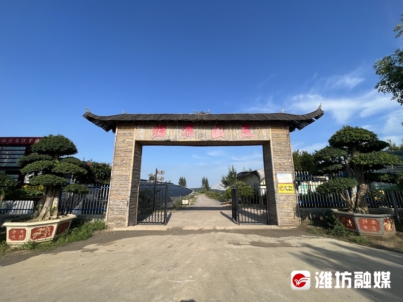 Pg电子游戏：为更好潍坊建设打牢坚实基础丨昌乐县五图街道：实干苦干绘就发展新图景(图2)
