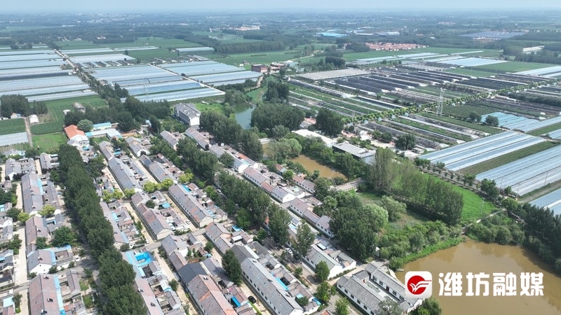 Pg电子游戏：为更好潍坊建设打牢坚实基础丨昌乐县五图街道：实干苦干绘就发展新图景(图4)