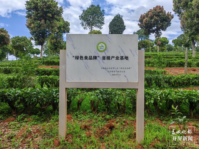 Pg电子游戏：中国电信点亮云南乡村振兴的智慧之光(图3)