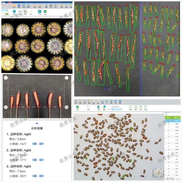 Pg电子游戏平台：深耕智慧农业托普云农以科技创新为发展农业新质生产力赋能(图2)