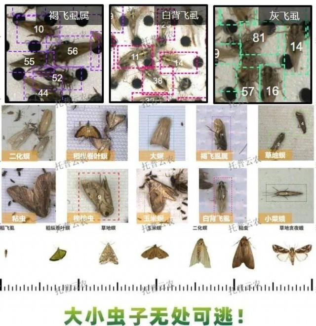 Pg电子游戏平台：深耕智慧农业托普云农以科技创新为发展农业新质生产力赋能(图6)