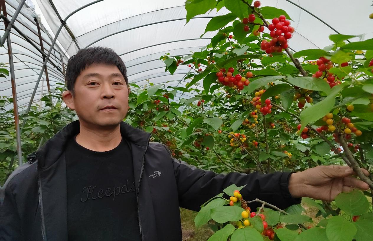 Pg电子游戏：走一线看经济丨浙江梁弄镇的数字乡村平台——“五彩梁弄”(图1)