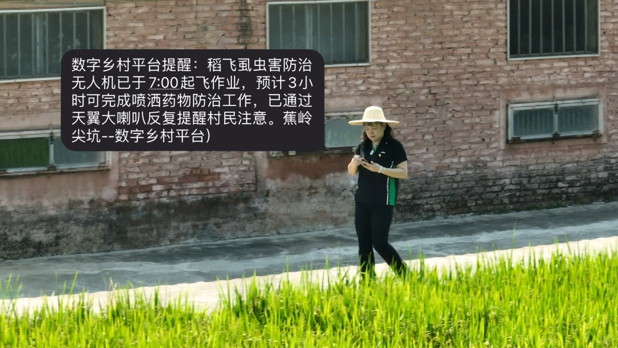 Pg电子平台：科技助力乡村振兴！中国电信天翼“数字乡村”走进梅州苏区(图3)