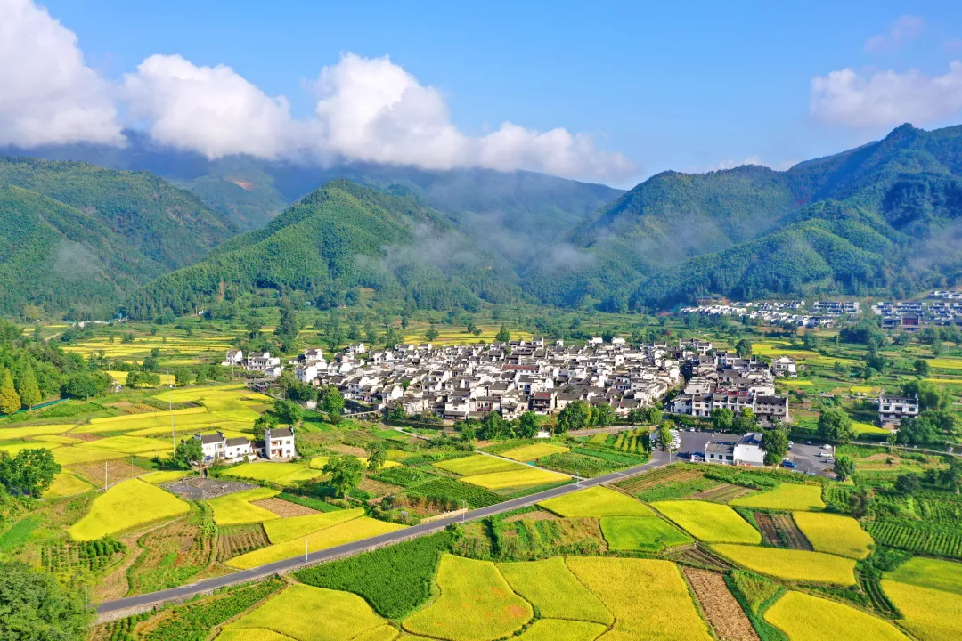 Pg电子平台：黟县发布和美乡村建设白皮书(图1)