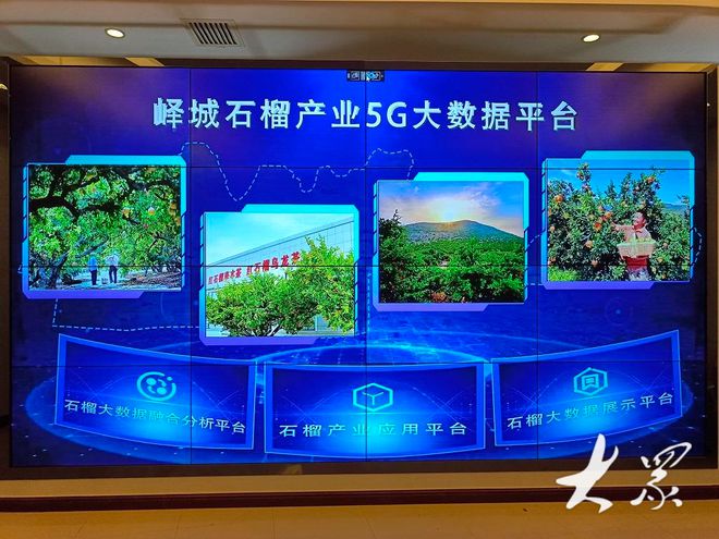 Pg电子游戏：数字农业让乡村振兴有“智”更有“质”(图2)