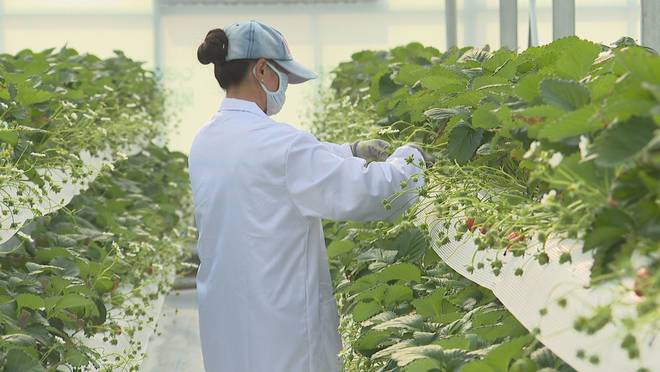 Pg电子游戏平台：东营市东营区入选第二批山东省数字乡村试点名单(图2)