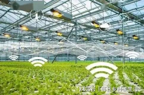 Pg电子游戏：建设数字乡村的意义是什么？每日乡村告诉你(图2)