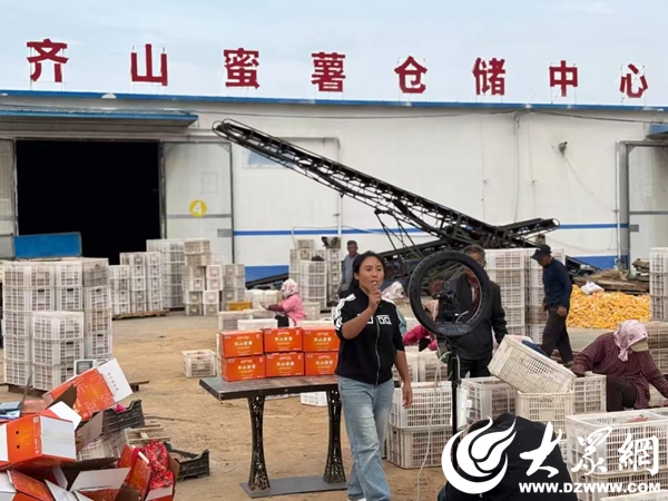 Pg电子游戏：聚焦数字乡村建设山东招远：数字力量激发农业农村新活力(图5)