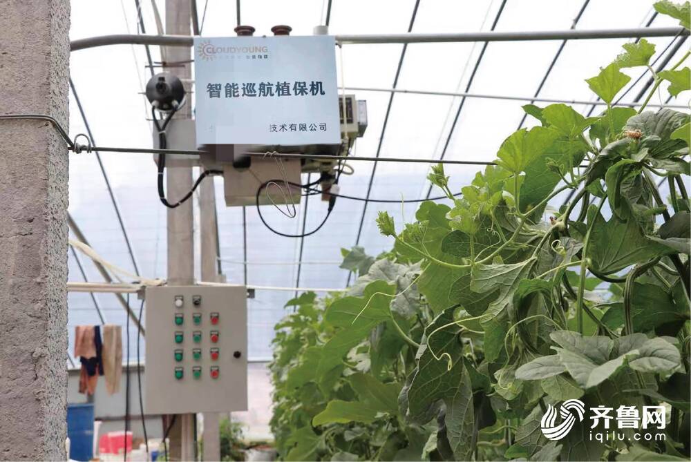 Pg电子游戏平台：“数字乡村”打造齐鲁最美富春山居图(图2)