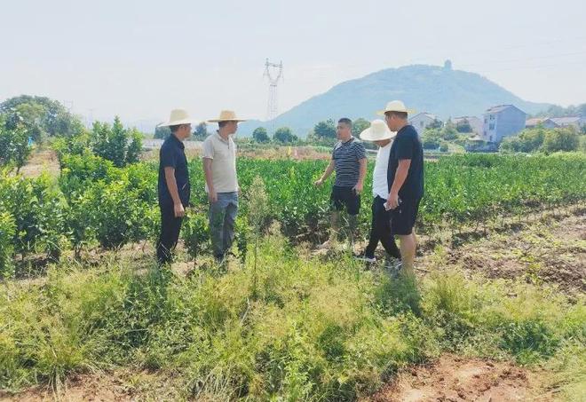 Pg电子游戏：蹲点·一线见闻丨双向奔赴下的征迁速度和群众满意度(图4)