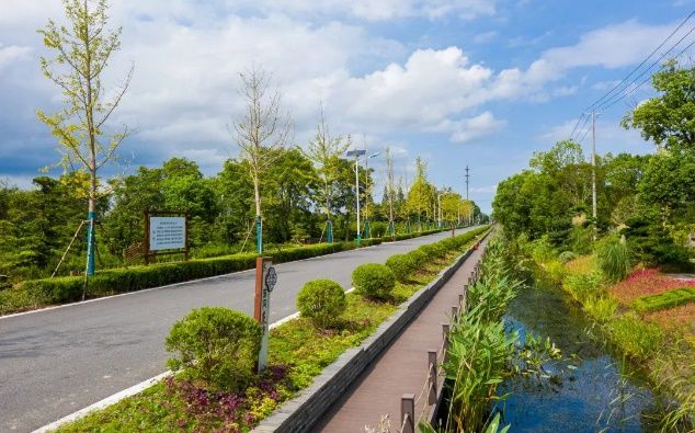 Pg电子游戏平台：上海市郊公路大变样！这两个案例获评2024年“四好农村路”高质量发展典型案例(图4)