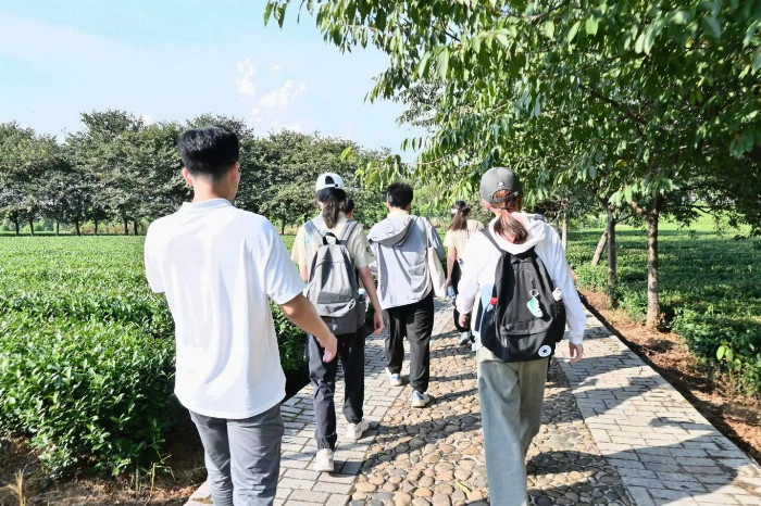 Pg电子平台：华中大学子走进董团乡基层探寻乡村振兴发展经验(图2)