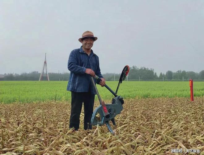 Pg电子平台：明确了！第三轮土地承包时间已定这4种情况土地将被收回！(图2)