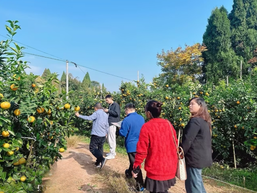 Pg电子游戏平台：数字赋能乡村振兴“一张网”铺就乡村幸福路(图4)