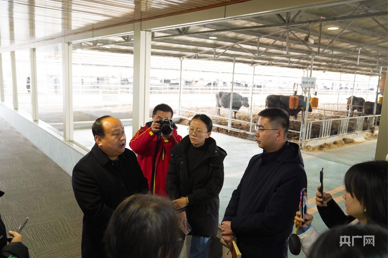 Pg电子平台：山东高青：大力发展黑牛产业促进产业深度融合显成效(图1)