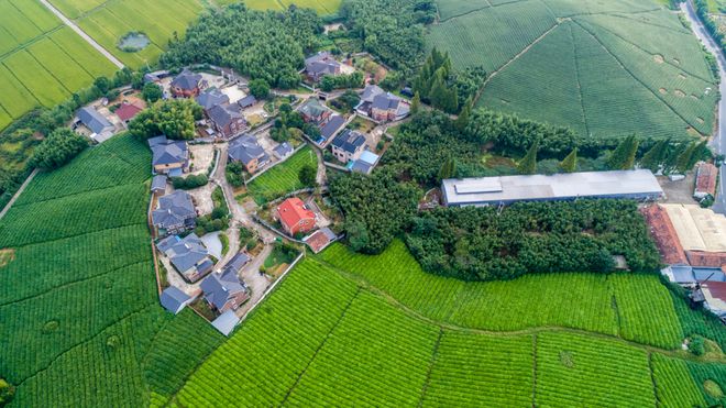 Pg电子游戏平台：乡村振兴监管云平台上线！数据“一张图”实现乡村治理数字化！(图2)