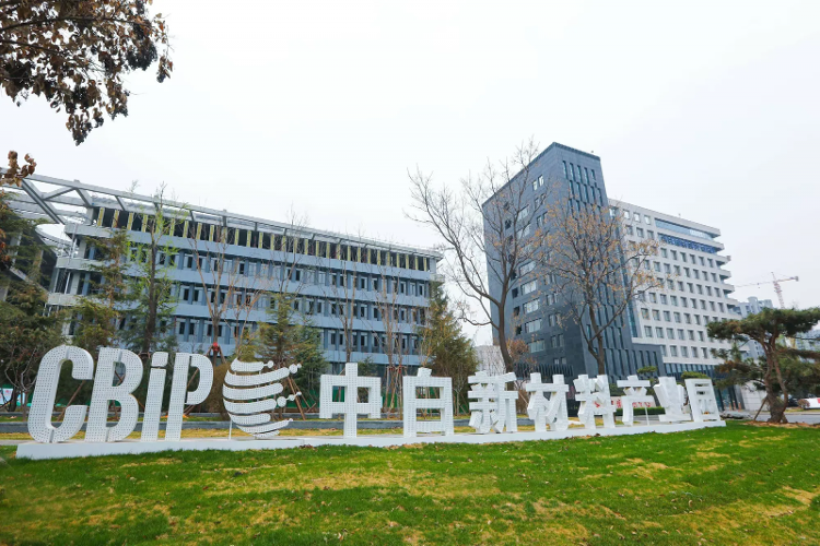 Pg电子游戏平台：书记沙龙丨圣井街道：“东强”战略下的“西进”全面开创济东强区建设新局面_泉城新闻_大众网(图9)