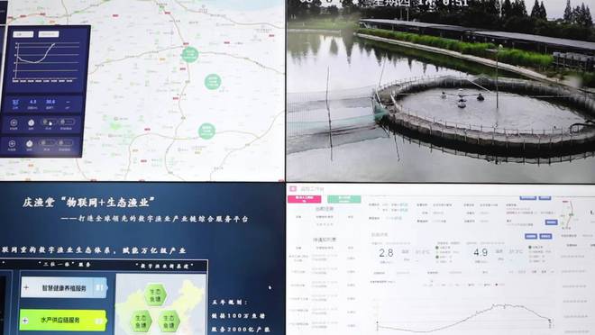 Pg电子游戏：新华视点｜“数字乡村一张图”探索乡村“智治”新模式(图5)