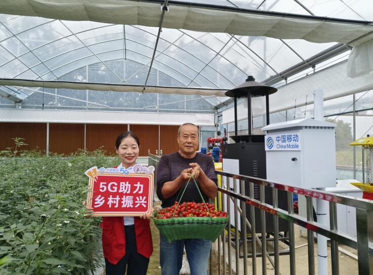 Pg电子游戏平台：安徽移动数字化新引擎助推乡村富民产业升级(图3)
