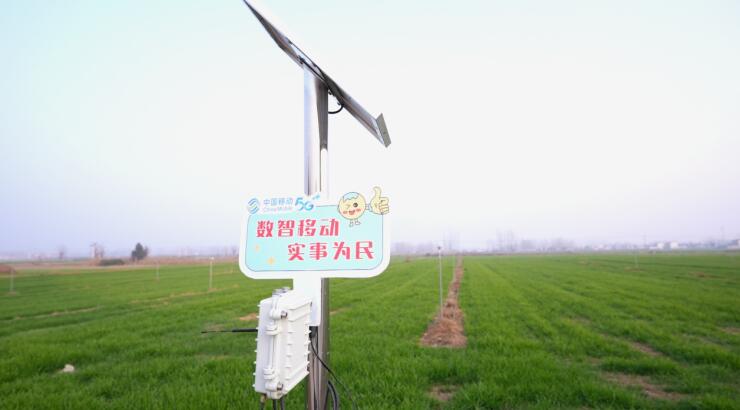 Pg电子游戏平台：安徽移动数字化新引擎助推乡村富民产业升级(图1)