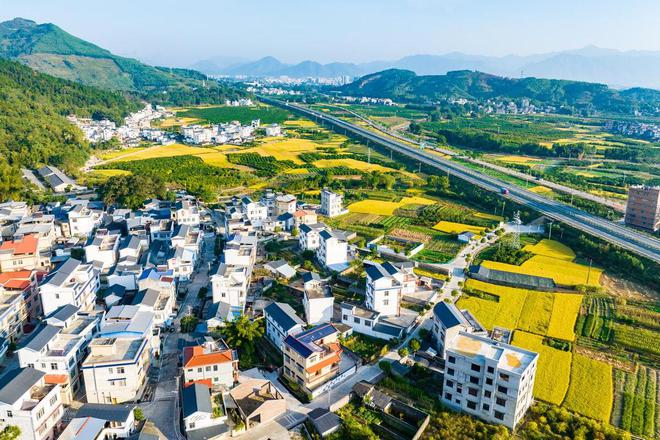 Pg电子游戏平台：乡村振兴：数字化乡镇赋能美好生活(图3)
