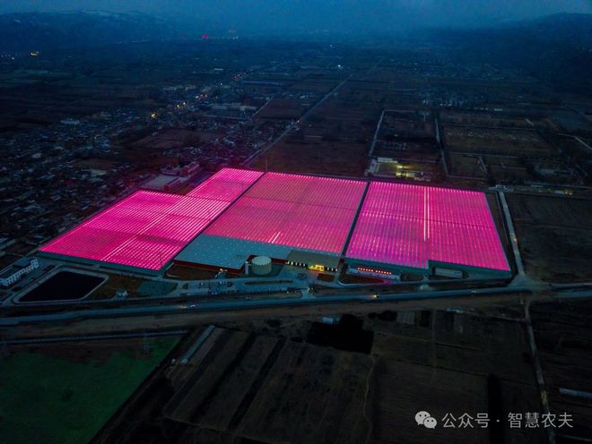 Pg电子平台：西北黄土地上有一座智能温室玫瑰超级工厂(图2)
