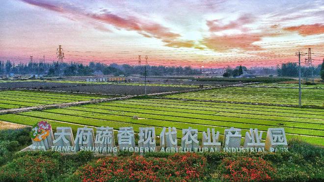 Pg电子游戏平台：“智”绘乡村！四川数字乡村典型案例添“彭州力量”(图11)
