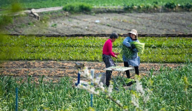 Pg电子游戏平台：“智”绘乡村！四川数字乡村典型案例添“彭州力量”(图12)