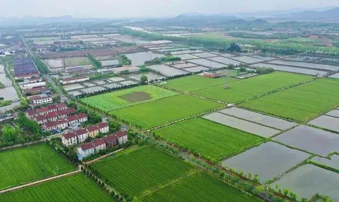 Pg电子游戏：国内外数字乡村建设典型案例(图7)