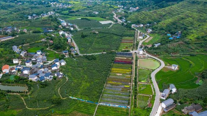 Pg电子游戏：国内外数字乡村建设典型案例(图8)