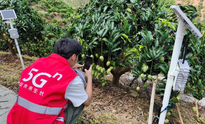 Pg电子游戏：中国联通数字乡村向新前行(图4)