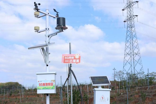 Pg电子游戏：中国联通数字乡村向新前行(图5)