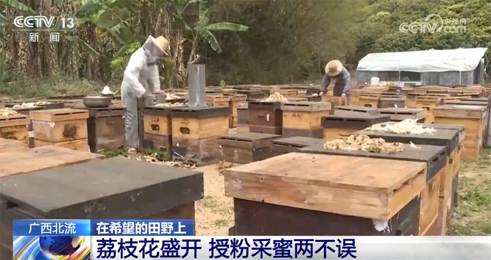 Pg电子游戏：智能设备描绘出一幅幅“数字春耕图”希望的田野迸发勃勃生机(图6)