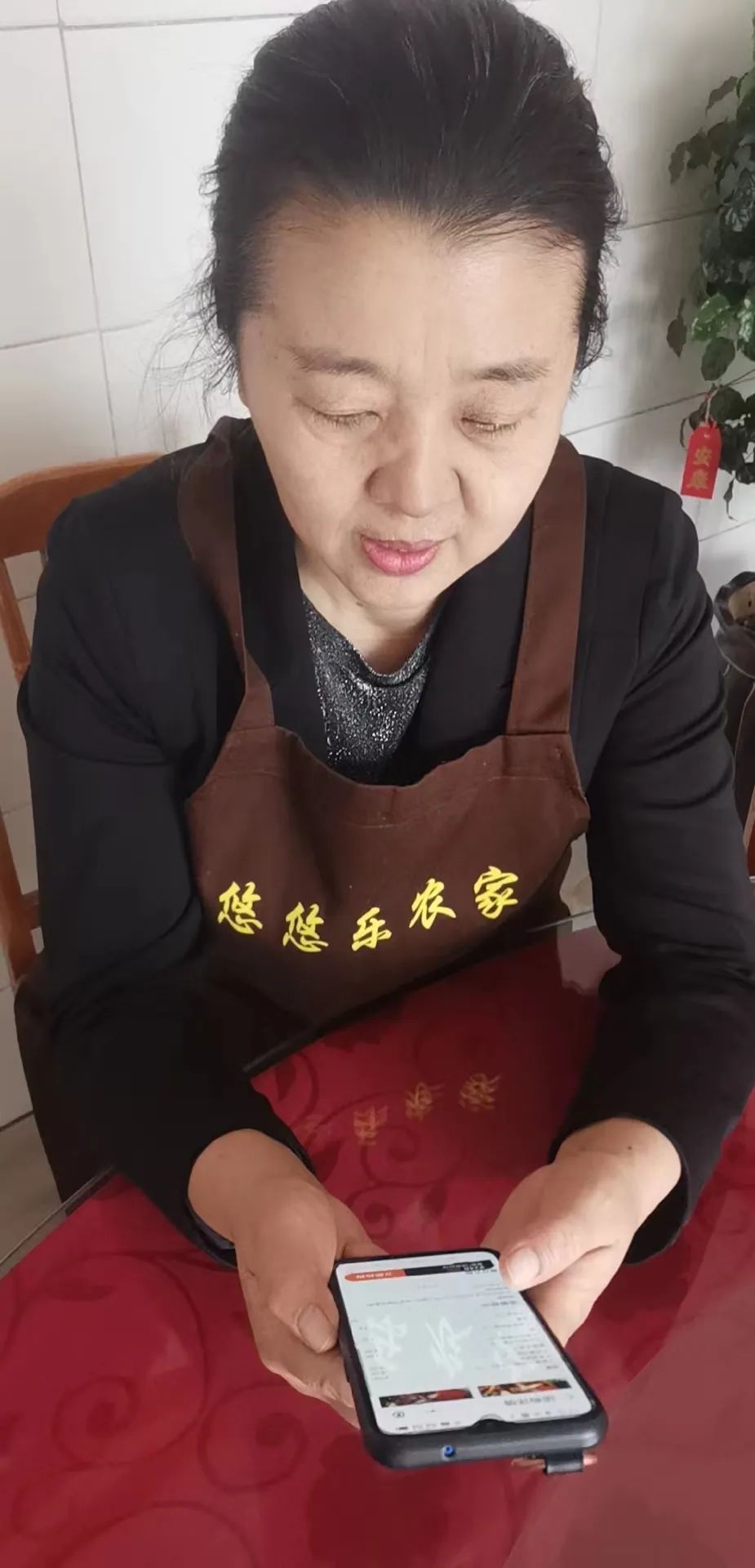 Pg电子游戏平台：阜康市人民政府(图3)