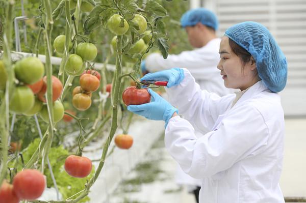 Pg电子平台：用工成本降低43%生产效率提升40%以上……浙江德清“数字乡村”指数全国第一(图2)