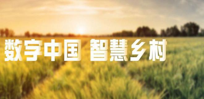 Pg电子游戏：数字乡村建设：贫困山区的互联网解决方案(图3)