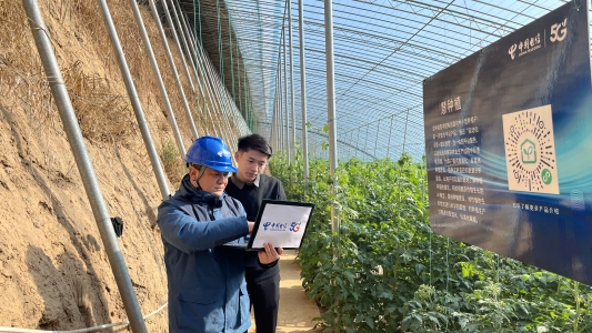 Pg电子游戏平台：中国电信山东公司：数字基座赋能乡村振兴点亮农村5G全新未来(图3)