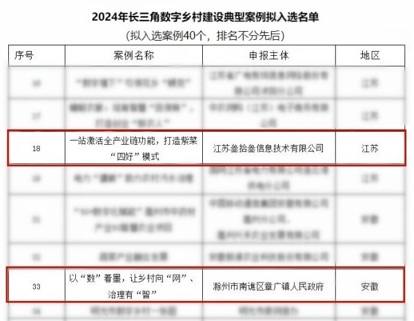 Pg电子游戏平台：江苏叁拾叁两大案例成功入选2024年长三角数字乡村建设典型案例！(图2)
