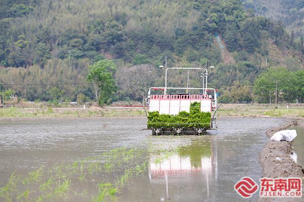 Pg电子游戏平台：科技赋能坐享丰收！双院士团队助力龙岩再生稻AI智慧农场建设(图2)
