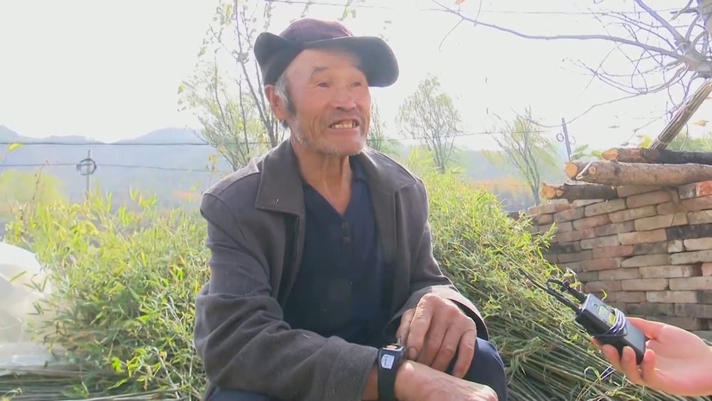 Pg电子游戏平台：新华全媒+｜“数字乡村”建设赋能乡村振兴(图1)