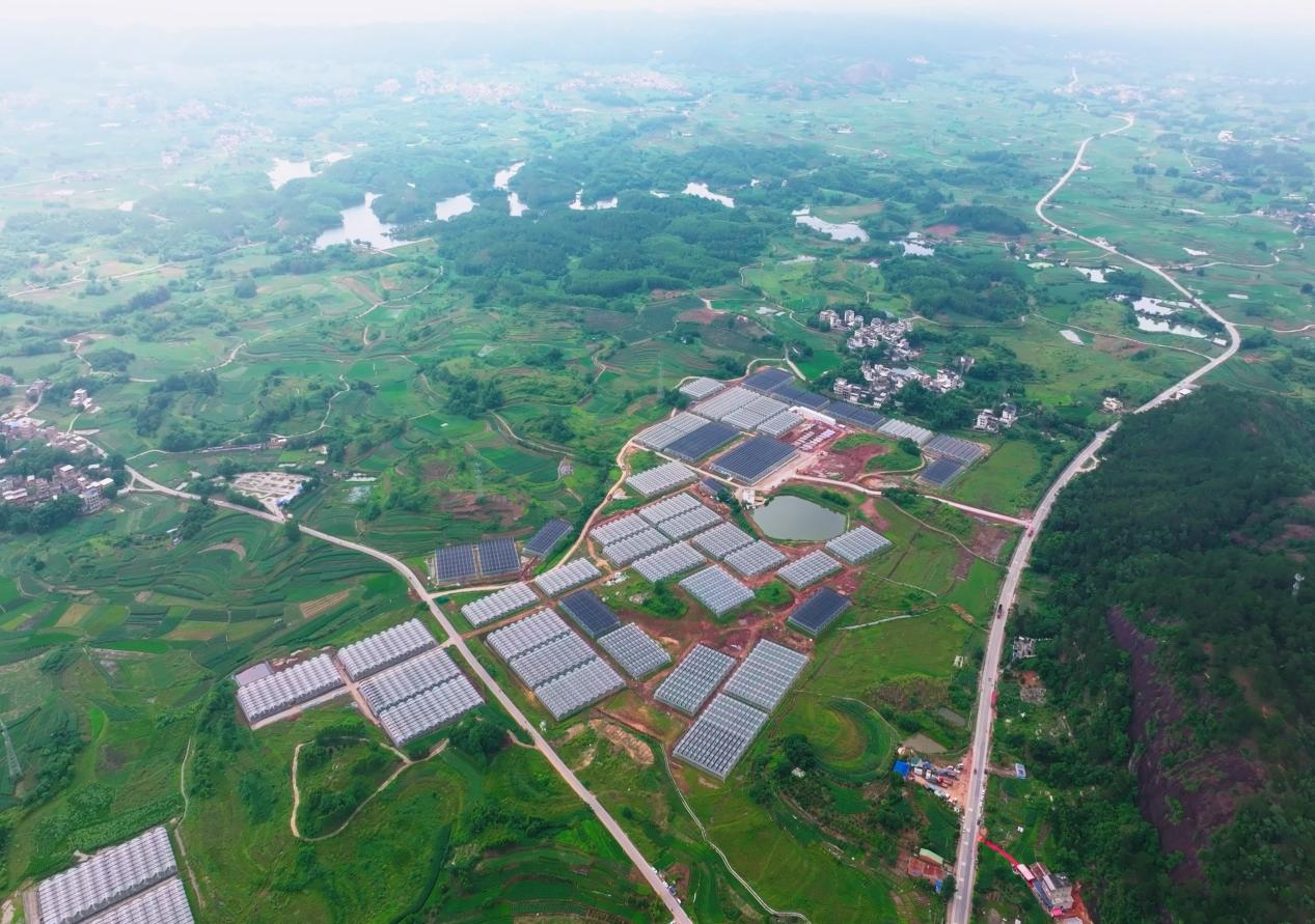 Pg电子平台：高质量发展看中国｜“数字”红利润泽八桂乡村智慧赋能绘就振兴画卷(图4)